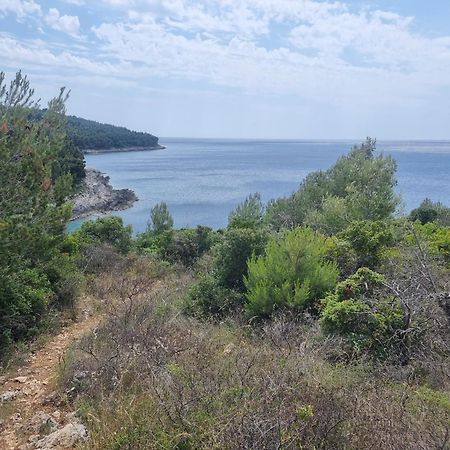 Studio Apartman Premantura Εξωτερικό φωτογραφία