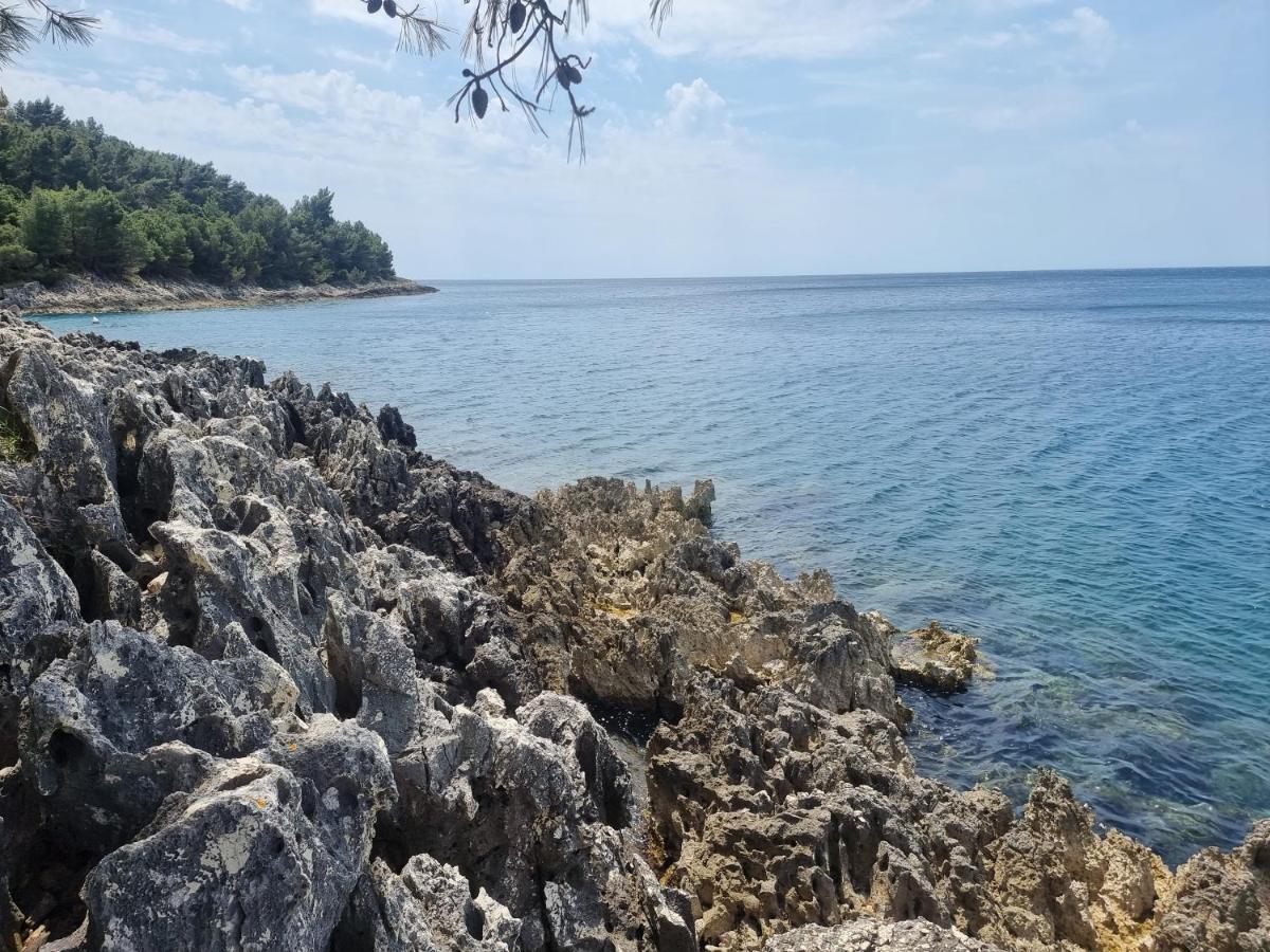 Studio Apartman Premantura Εξωτερικό φωτογραφία