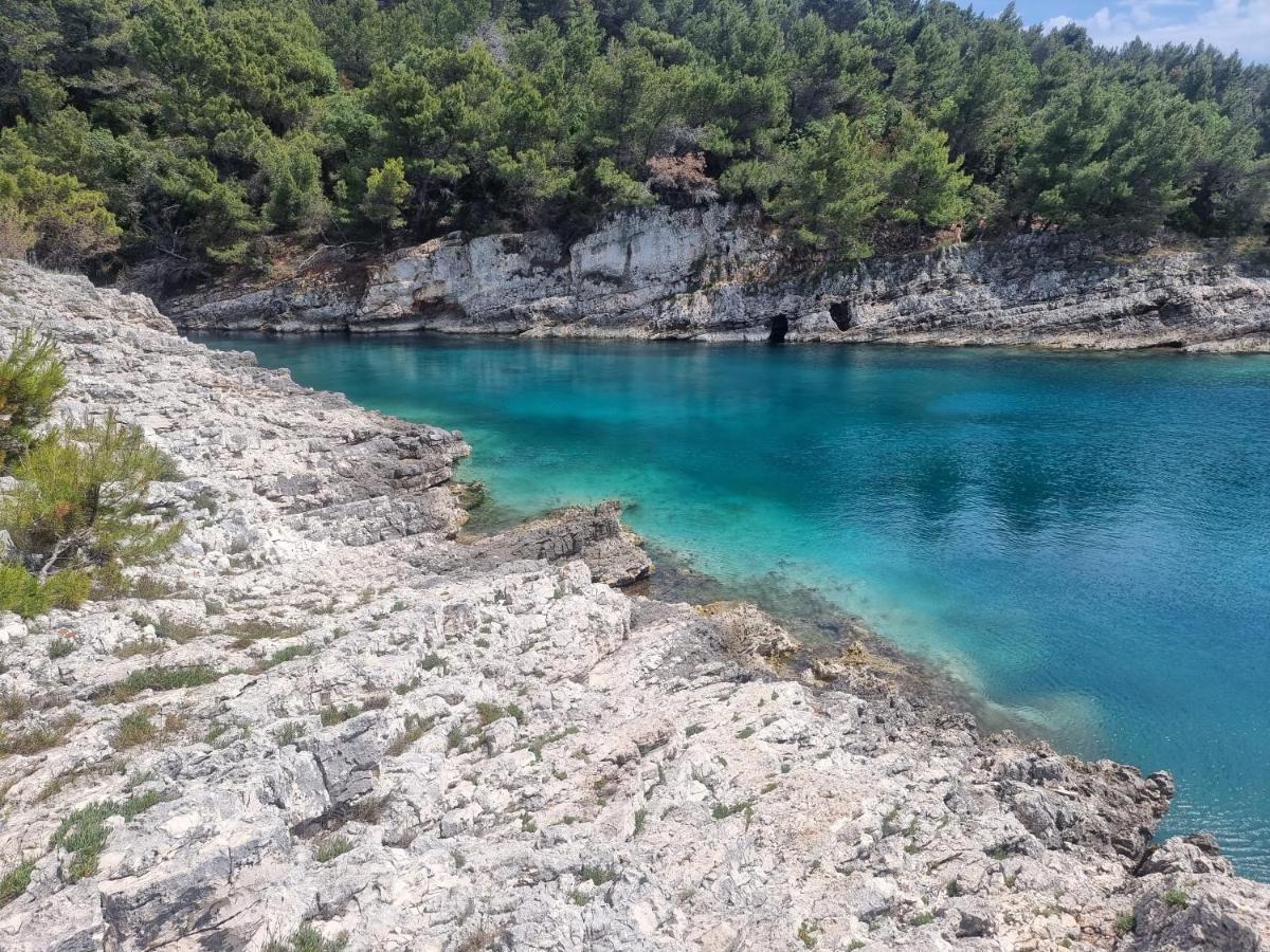 Studio Apartman Premantura Εξωτερικό φωτογραφία