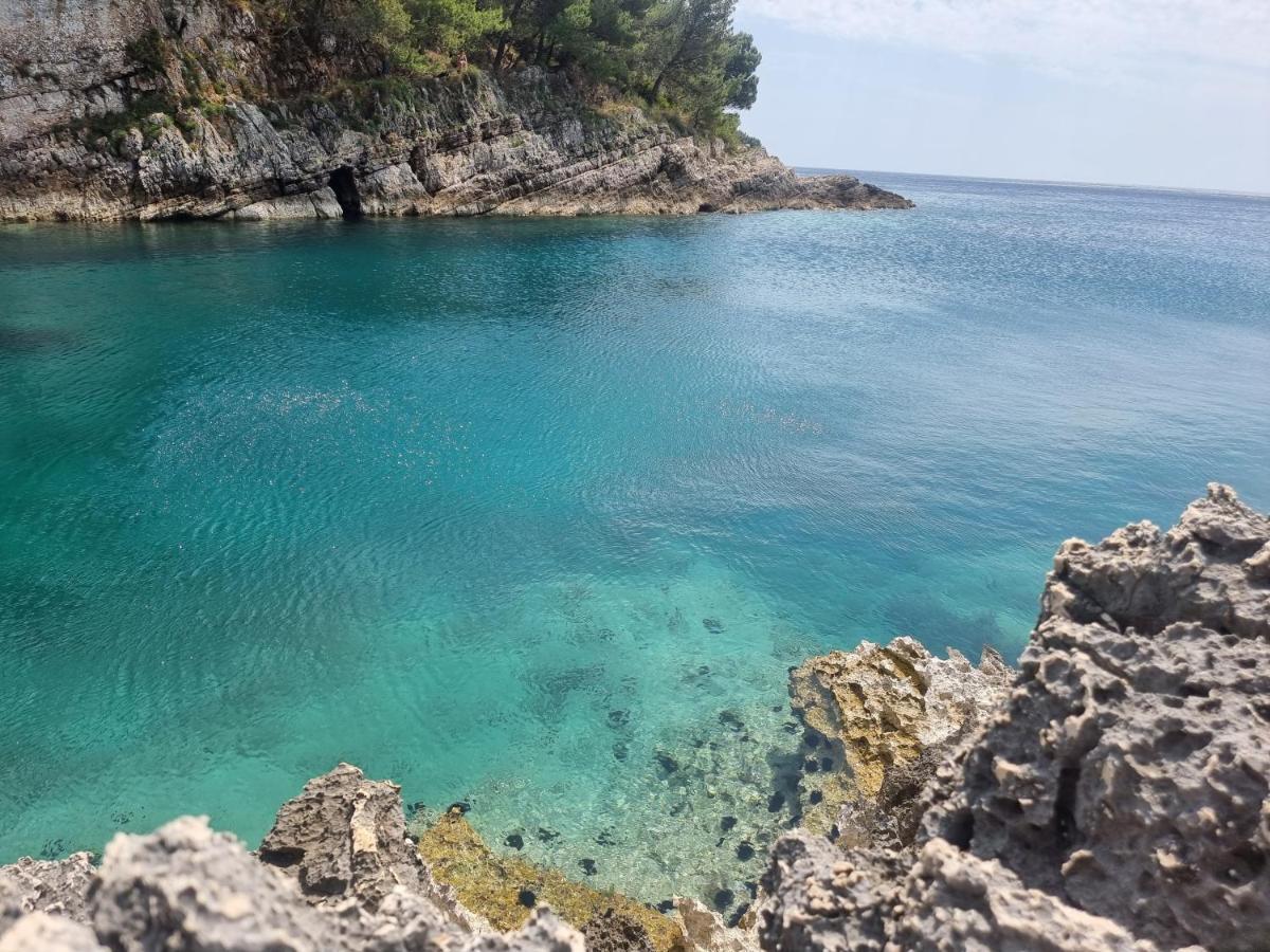 Studio Apartman Premantura Εξωτερικό φωτογραφία