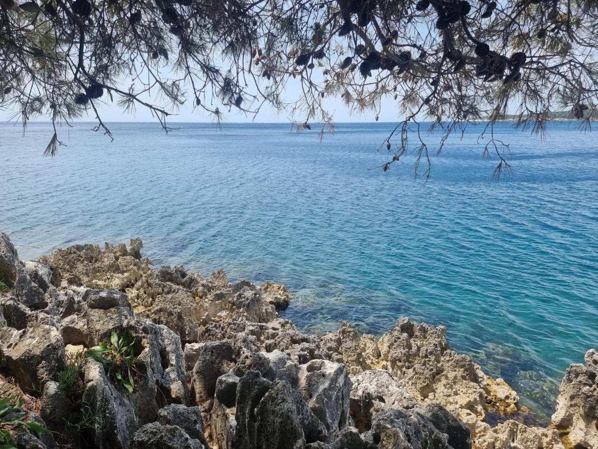 Studio Apartman Premantura Εξωτερικό φωτογραφία