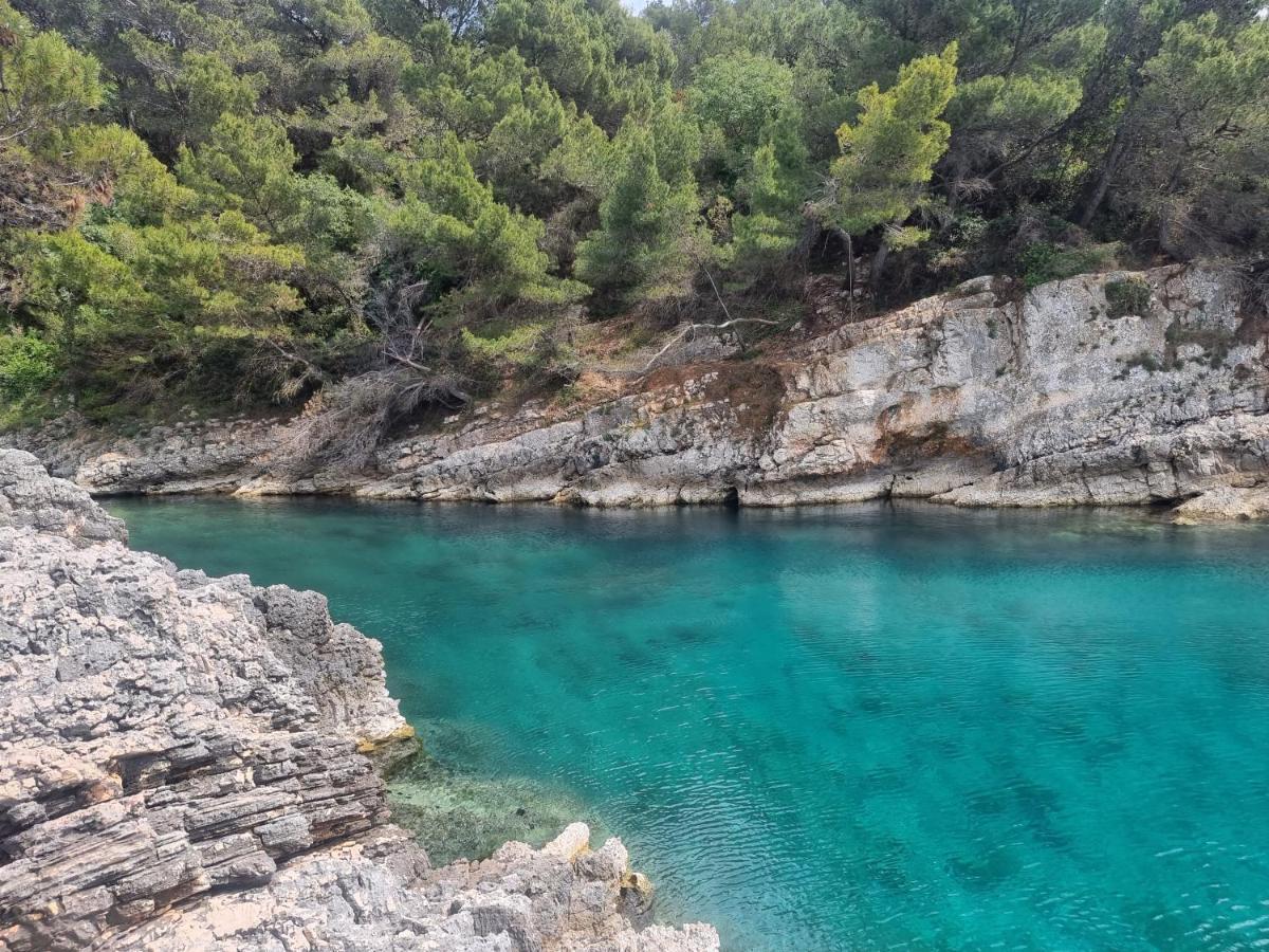 Studio Apartman Premantura Εξωτερικό φωτογραφία