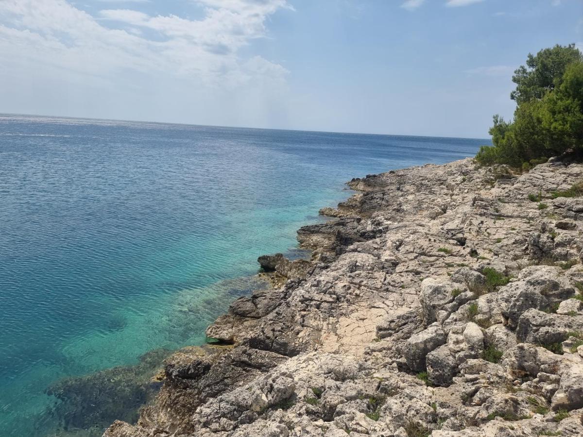 Studio Apartman Premantura Εξωτερικό φωτογραφία